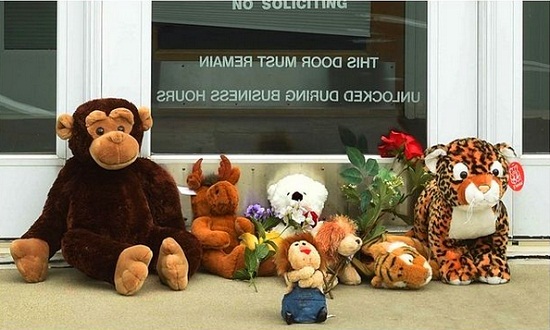 20150808161337000000_1_73.jpg 2.jpg