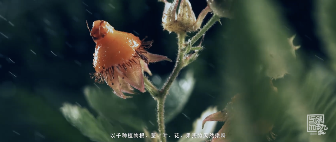 20220829105717000000_1_90.png 20220829105717000000_1_90.png