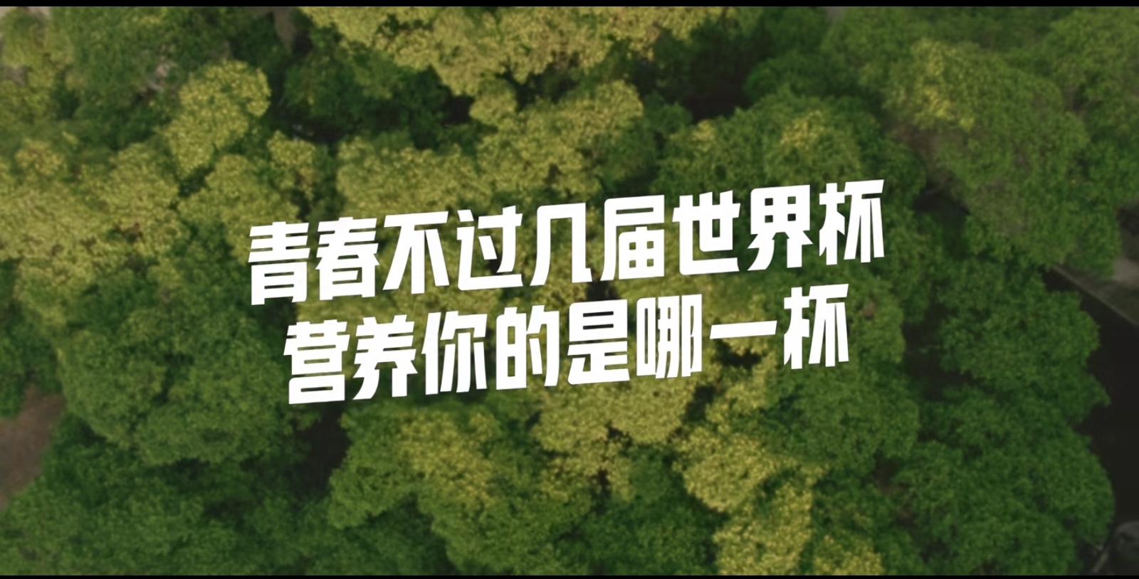 20221123110525000000_1_73.jpg 20221123110525000000_1_73.jpg