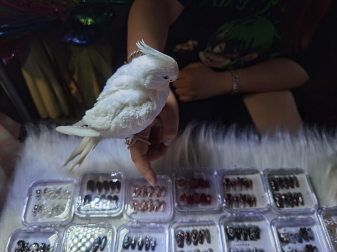 20230530095331000000_1_27.png 20230530095331000000_1_27.png